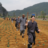 The Best 4-Day 3-Night Retreat Experience at Donghua Zen Monastery